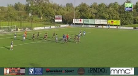 VV De Merino's O23-1 - DTS 3 (summary)