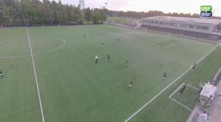 FC Binnenmaas JO13-1 - Spartaan '20 JO13-3 (summary)